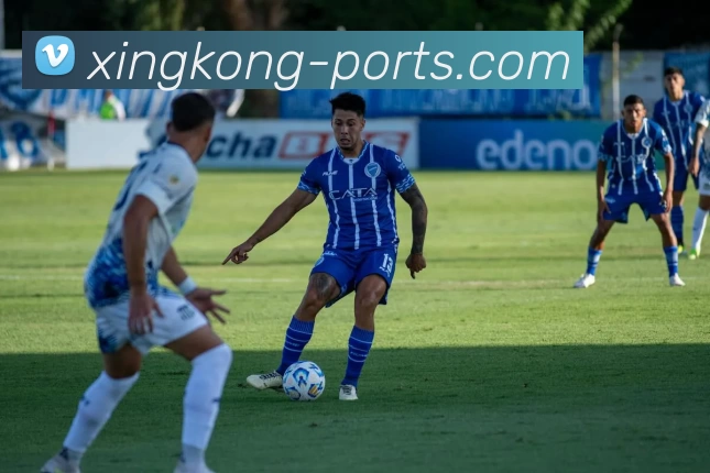 星空体育入口平台生态图