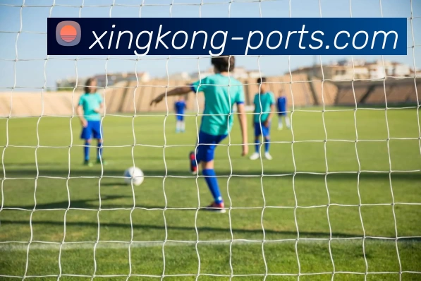 星空体育入口APP 封面图